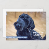 Funny Pet (Human Baby) Schwangerschaft Ankündigung (Vorne/Hinten)