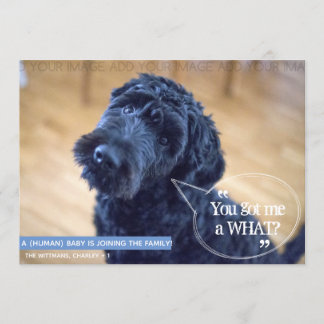 Funny Pet (Human Baby) Schwangerschaft Ankündigung