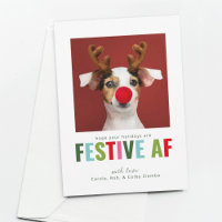 Funny Pet Hund Katze Foto Weihnachtskarte AF Festi