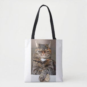 Funny Pet Katze Gemein zynischer Spaß nicht beeind Tasche