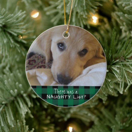 Funny Pet NAUGHTY ODER NICE Green Buffalo Kariert Keramik Ornament (Baum)