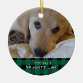Funny Pet NAUGHTY ODER NICE Green Buffalo Kariert Keramik Ornament (Vorne)