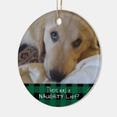 Funny Pet NAUGHTY ODER NICE Green Buffalo Kariert Keramik Ornament (Links)