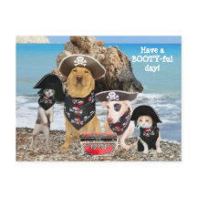 Funny Pet Pirate Day Postcard