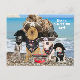 Funny Pet Pirate Day Postcard Postkarte