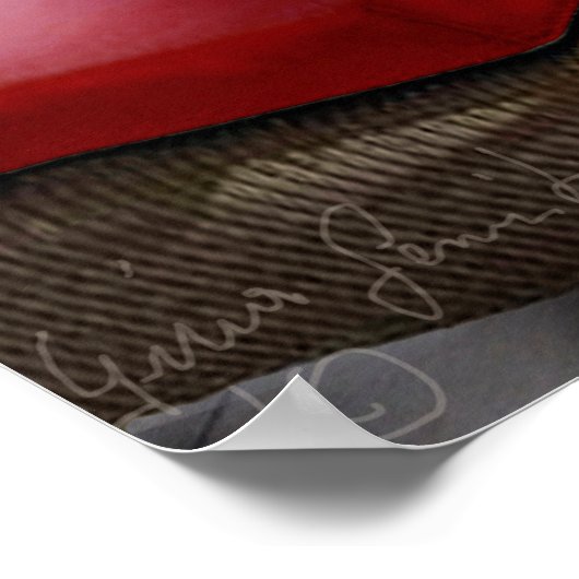 Funny Pet Poster Cat Luxury Vacation (Ecke)