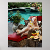 Funny Pet Poster Cat Luxury Vacation (Vorne)