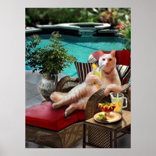 Funny Pet Poster Cat Luxury Vacation (Vorne)