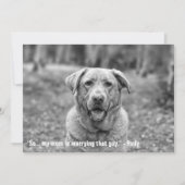 Funny Pet Save the Date Verlobung Ankündigung (Vorderseite)