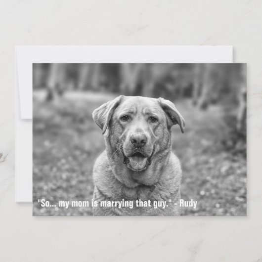 Funny Pet Save the Date Verlobung Ankündigung (Vorderseite)