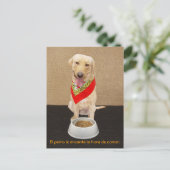 Funny Pet Spanische Postkarte & Unterrichtshilfe (Stehend Vorderseite)