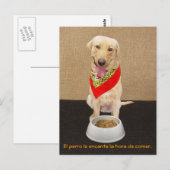 Funny Pet Spanische Postkarte & Unterrichtshilfe (Vorne/Hinten)