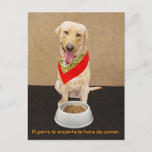 Funny Pet Spanische Postkarte & Unterrichtshilfe (Vorderseite)