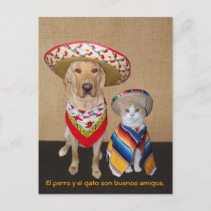 Funny Pet Spanische Postkarte & Unterrichtshilfe