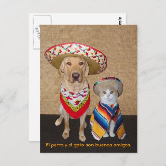 Funny Pet Spanische Postkarte & Unterrichtshilfe (Vorne/Hinten)