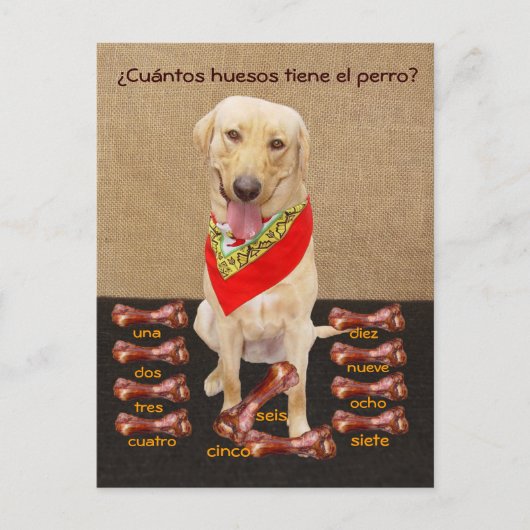 Funny Pet Spanische Postkarte & Unterrichtshilfe (Vorderseite)