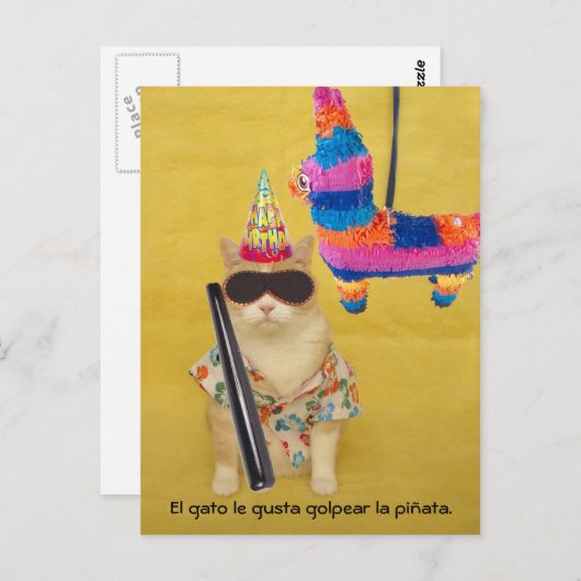Funny Pet Spanische Postkarten für Spaß oder Unter (Vorne/Hinten)