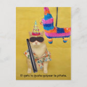 Funny Pet Spanische Postkarten für Spaß oder Unter (Vorderseite)