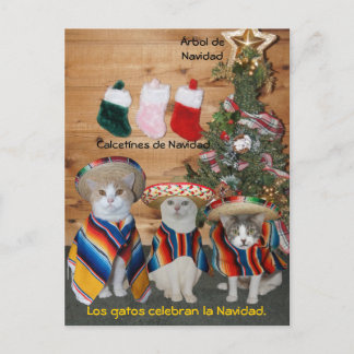 Funny Pet Spanische Postkarten für Spaß oder Unter