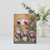 Funny Pet Spanische Postkarten für Spaß oder Unter (Stehend Vorderseite)