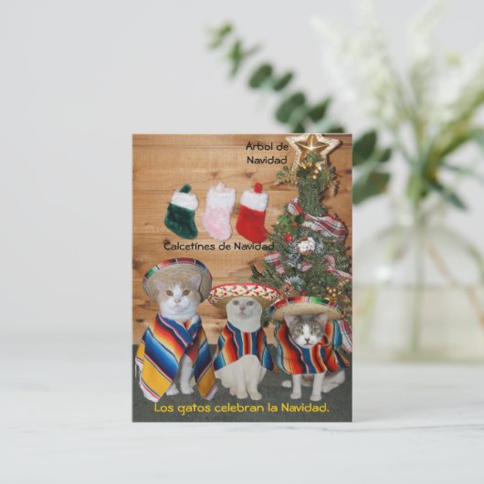 Funny Pet Spanische Postkarten für Spaß oder Unter (Stehend Vorderseite)