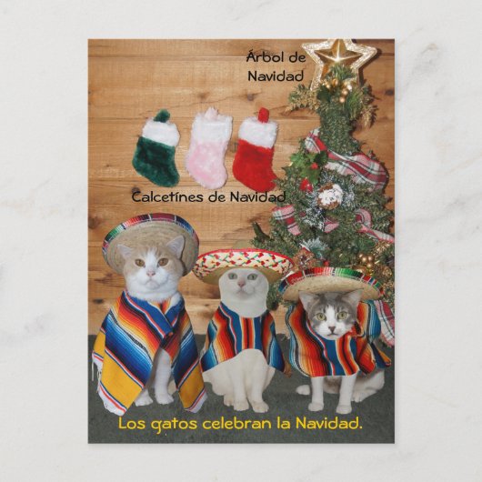 Funny Pet Spanische Postkarten für Spaß oder Unter (Vorderseite)