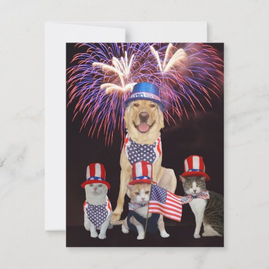 Funny Pets 4. Juli Einladung (Vorderseite)