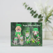 Funny Pets & Leprechauns Postkarte (Stehend Vorderseite)
