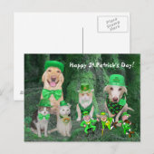 Funny Pets & Leprechauns Postkarte (Vorne/Hinten)