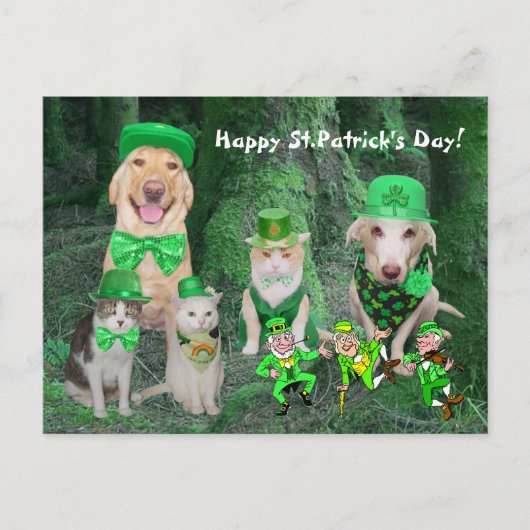 Funny Pets & Leprechauns Postkarte (Vorderseite)