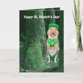 Funny Pets St. Patrick Karte