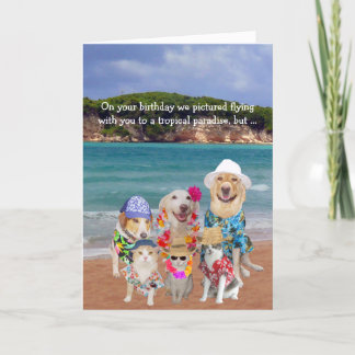 Funny Pets Tropical Paradise Geburtstag Karte