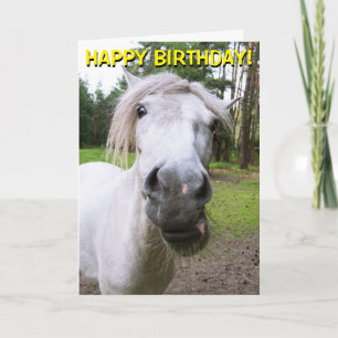 Funny Pferd individuell anpassbare Grüße Karte