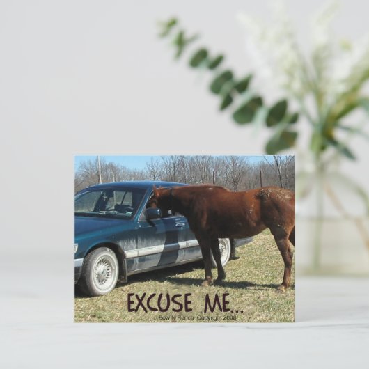 Funny Pferd mit Auto Entschuldigung Postkarte (Stehend Vorderseite)