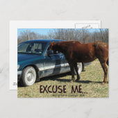 Funny Pferd mit Auto Entschuldigung Postkarte (Vorne/Hinten)