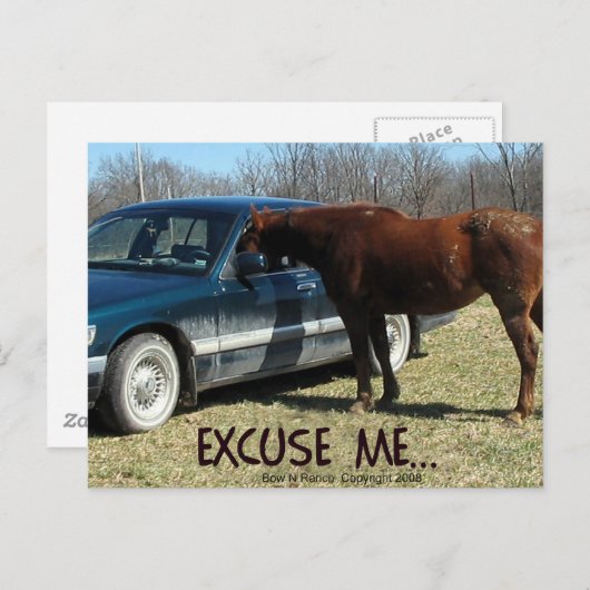 Funny Pferd mit Auto Entschuldigung Postkarte (Vorne/Hinten)