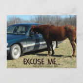 Funny Pferd mit Auto Entschuldigung Postkarte (Vorderseite)