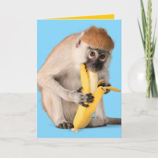 Funny Photo of A Cute Monkey Eating A Banana Karte (Vorderseite)