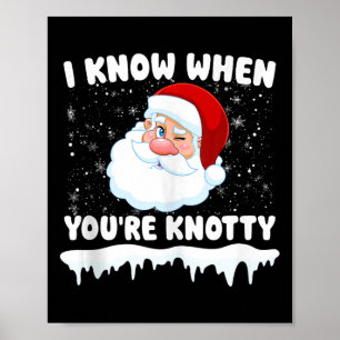 Funny Physical Therapist Weihnachts PT Therapist X Poster