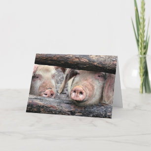 Funny Pig Custom Geburtstagkarte Karte