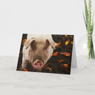 Funny Pig Custom Geburtstagkarte Karte