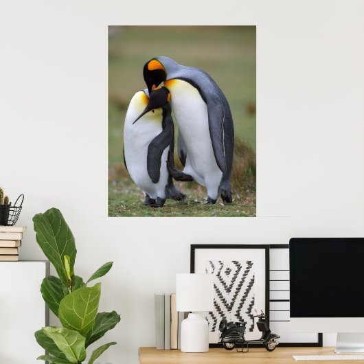 Funny Pinguins Poster (Heimbüro)