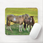 Funny Pinto Stallion & Sorrel Mare Horse Friends 2 Mousepad (Mit Mouse)