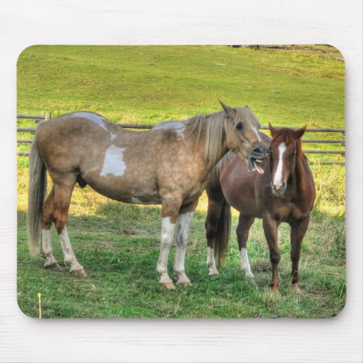 Funny Pinto Stallion & Sorrel Mare Horse Friends 2 Mousepad (Vorne)