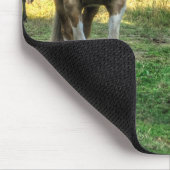 Funny Pinto Stallion & Sorrel Mare Horses Friends Mousepad (Ecke)