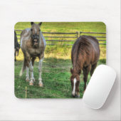 Funny Pinto Stallion & Sorrel Mare Horses Friends Mousepad (Mit Mouse)