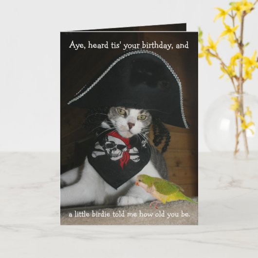 Funny Pirate Cat Karte (Gelbe Blume)