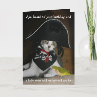 Funny Pirate Cat Karte