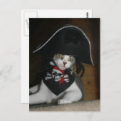 Funny Pirate Cat Postkarte (Vorne/Hinten)