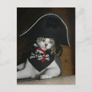 Funny Pirate Cat Postkarte